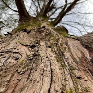 Meet your Posher, Ella